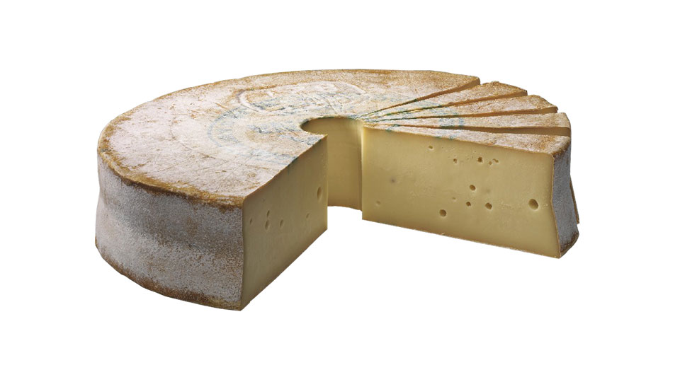 Picture of Fontina cheese